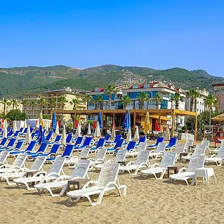 Kleopatra Arsi Hotel